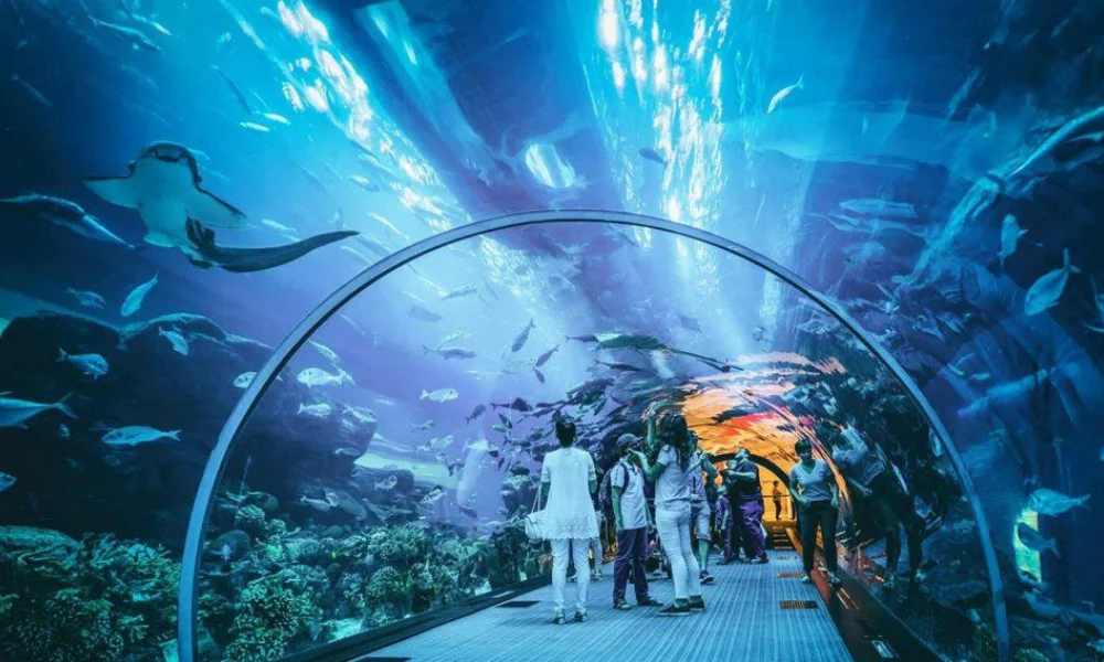 sharjahaquarium2