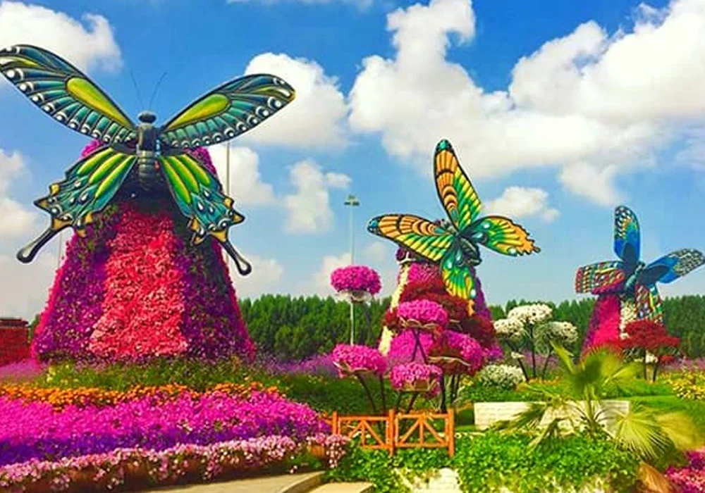 butterfly-garden