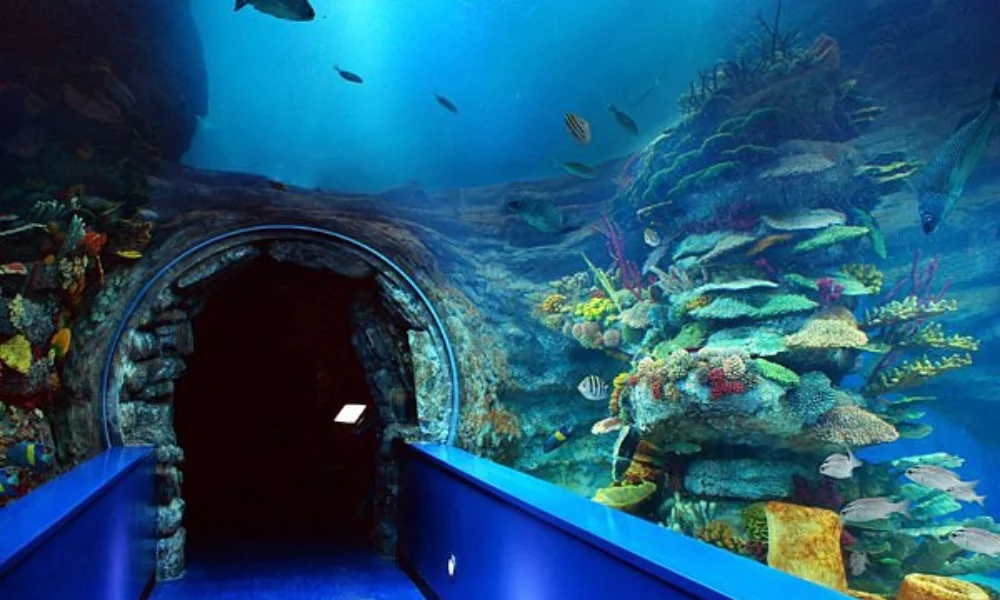 sharjahaquarium3