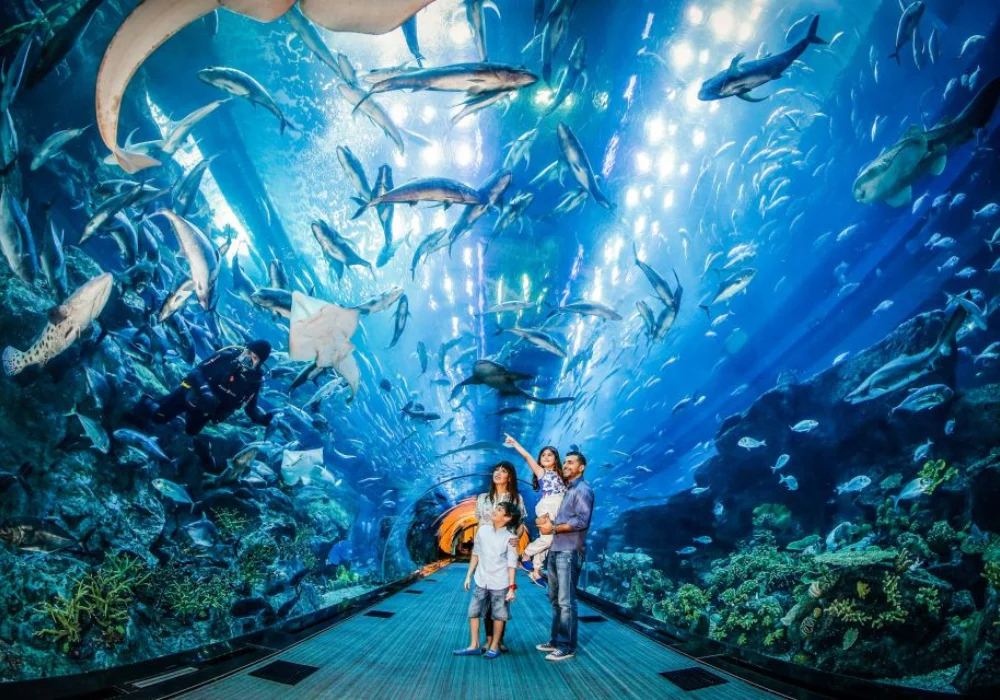 dubai-aquarium