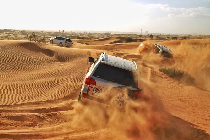 ras-al-khaimah-evening-desert-safari05