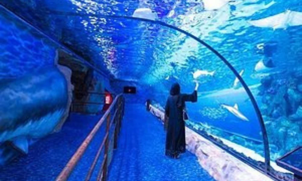 sharjahaquarium4