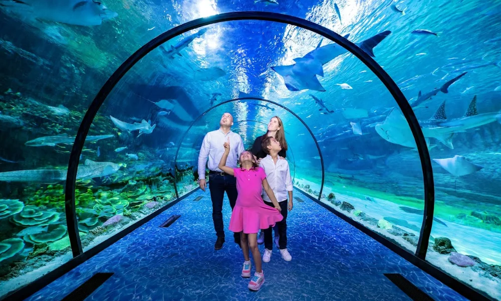 sharjah-aquarium