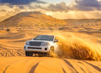 What to Expect in a Premium Dubai Desert Safari