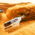 Secrets of Dubai Desert Safari