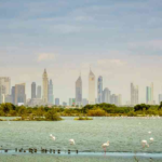 Dubai Offers to Nature Lover