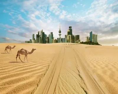 Famous 7 Deserts in UAE